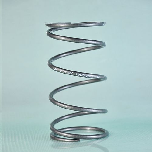 CENTER SPRING 57R / 3