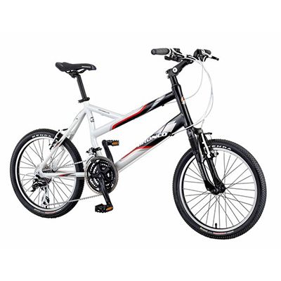 BRONCO COMPACT BIKE - CITYROLLER RB-932