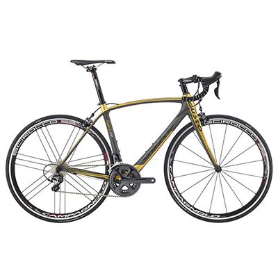 road bike - RCR Explorer 230