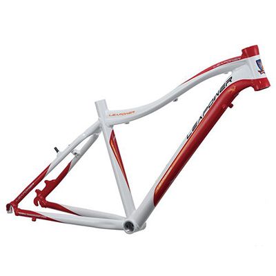 Bicycle MTB Frame S-D