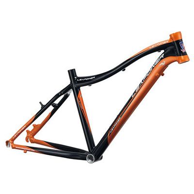 Bicycle MTB Frame S-XT