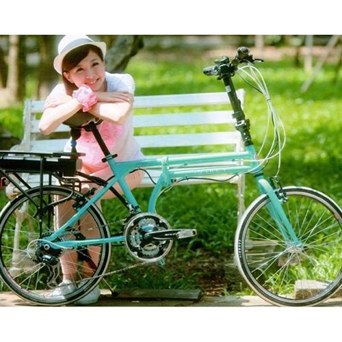 E-RIFLE_20 inch 21 spd E-folding bike / 2