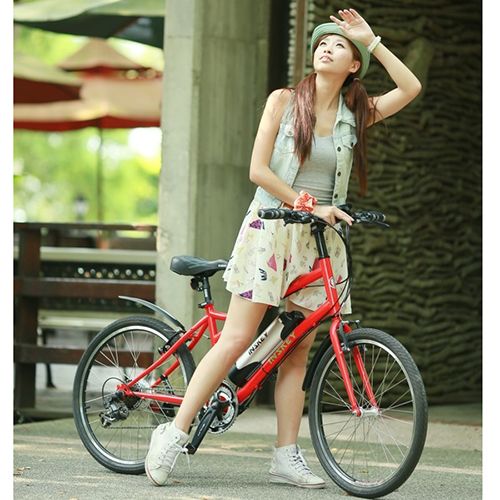 E-HAPPY FISH_24 inch 21 spd E-velo Bicycle / 3