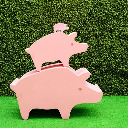 Wild animal- Formosan Wild Boar TB-08 / 2