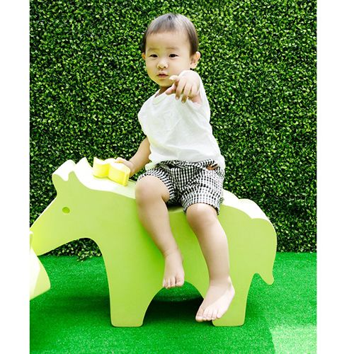 Wild Animal-Mustang TB-08 / 2