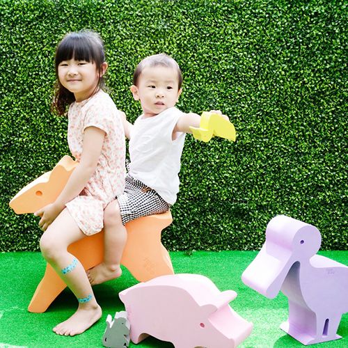 Wild Animal-Sika Deer TB-08 / 2