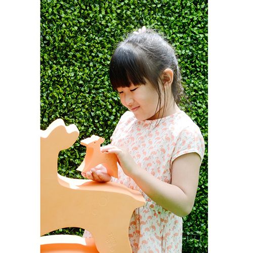 Wild Animal-Sika Deer TB-08 / 3