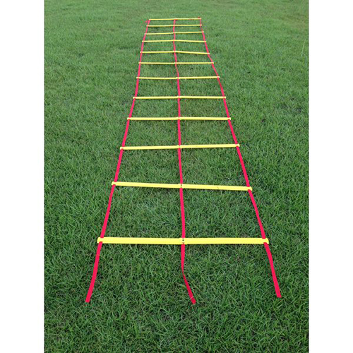 Double Agility Ladder (ALDN0624-1) / 3