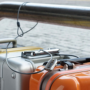 RL537 Versatile 4 digits Noose Security resettable Combination Lock / 3