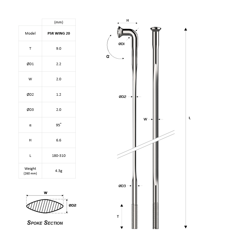 WING-01