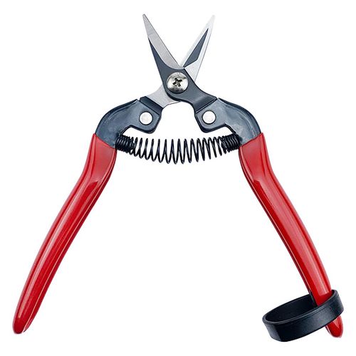 Fruit/Floral Pruning Scissors HC-701KL / 2