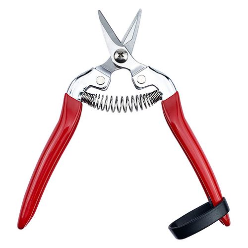 Fruit/Floral Pruning Scissors HC-701SL / 2