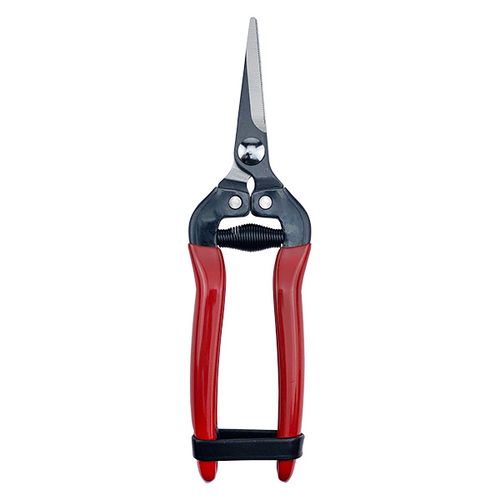 Fruit/Floral Pruning Scissors HC-705K / 2