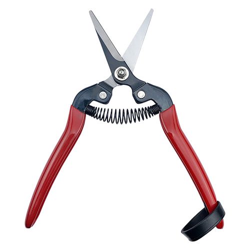 Fruit/Floral Pruning Scissors HC-705S / 3