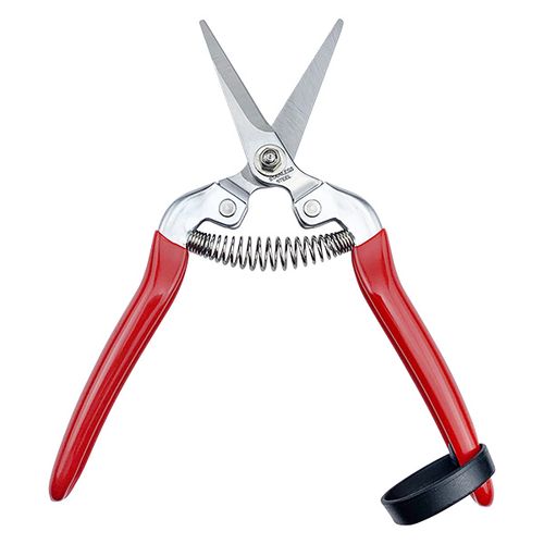 Fruit/Floral Pruning Scissors HC-705SL / 2
