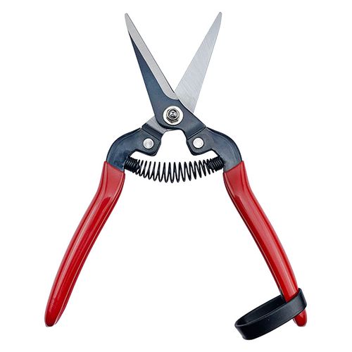 Fruit/Floral Pruning Scissors HC-706KL / 2