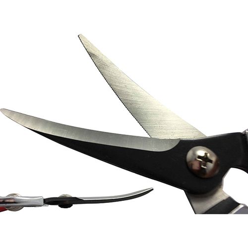 Fruit/Floral Pruning Scissors HC-706KL / 3