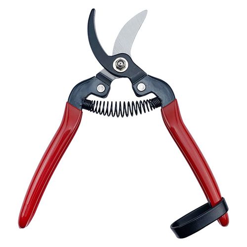 Fruit/Floral Pruning Scissors HC-708K / 3
