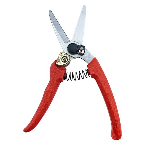 Plastic Handle Floral Pruning Shear HC-813 / 3