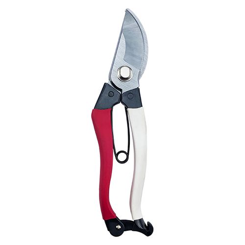 Bypass Pruning Shears ML-623A / 2