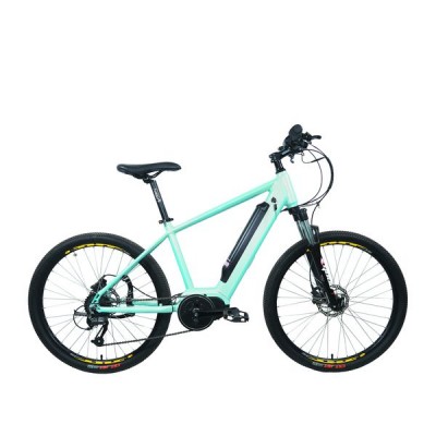 E-bike PSES-C-02