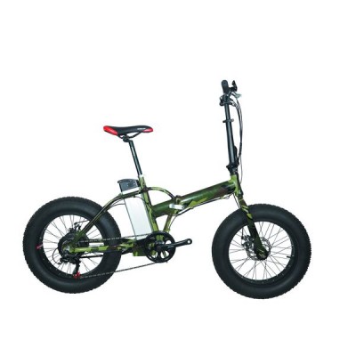 E-bike PSES-FDR20-1