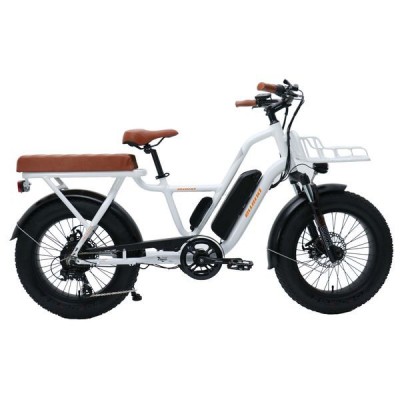 E-bike PSES-CO-FO