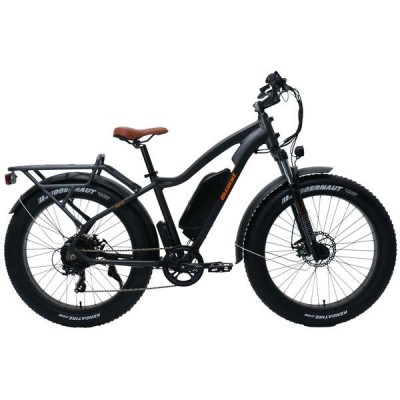 E-bike PSES-CO-FI