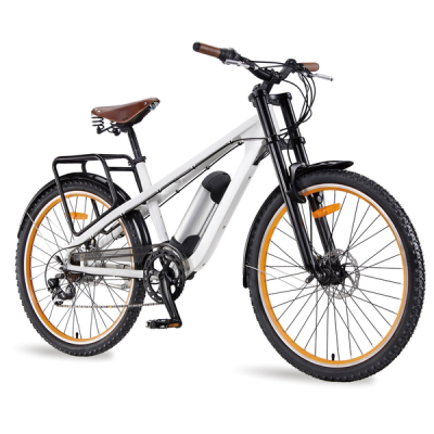 E-ATB Muller - Electric Bicycles
