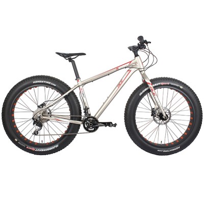 FAT BIKE  20-SP