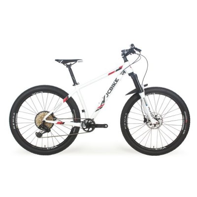 MOUNTAIN BIKE  [Archer] SRAM  XX1  12-SP