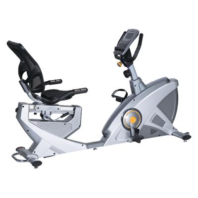 Exercise bikes 8719R