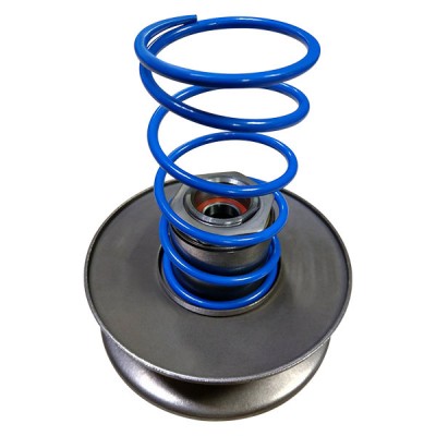 CVT Spring (for OEM)