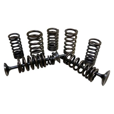 Valve Spring (For OEM)