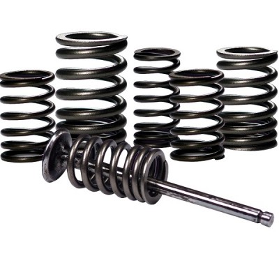 Valve Spring (For OEM)