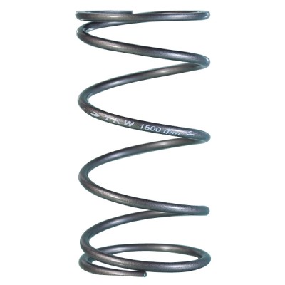 CENTER SPRING 57R