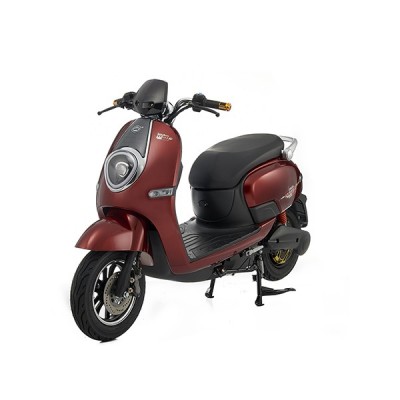 E-Scooter EGB-D1