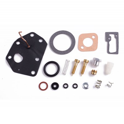 B.S Carburetor Repair Kit 494622