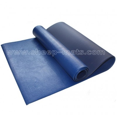 PVC Yoga Mat YC17361_2