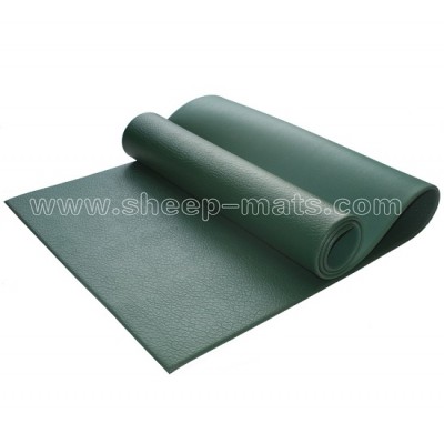 PVC Yoga Mat YC17361_3