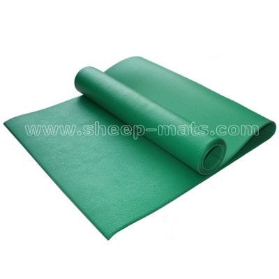 PVC Yoga Mat YC17361_4