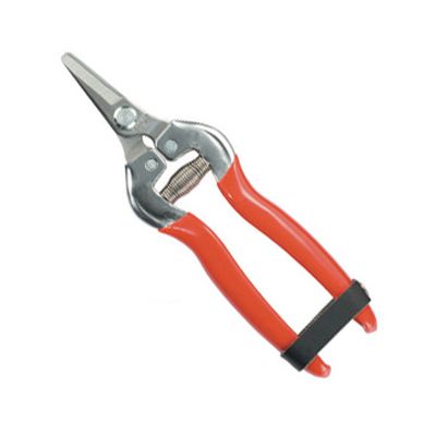 Stainless Steel Fruit Pruner 803BS-1