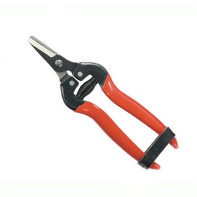 Fruit Pruner 803B-1