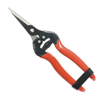 Fruit Pruner 803B