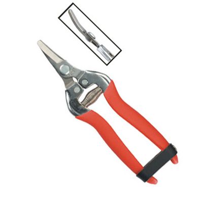 Curved Blade Stainless Steel Fruit Pruner 803AS-1