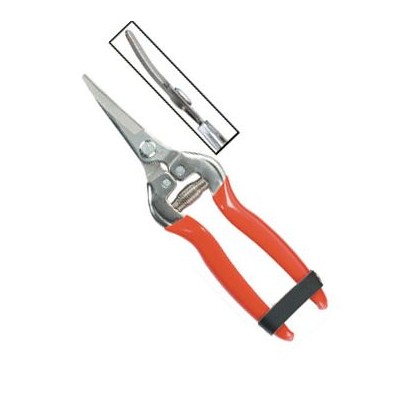 Curved Blade Stainless Steel Fruit Pruner 803AS