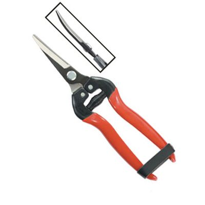 Curved Blade Fruit Pruner 803A