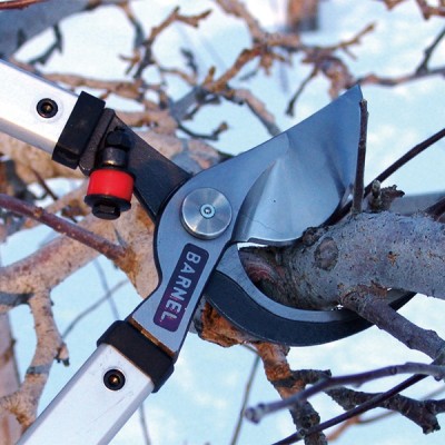 Orchard Lopper Series