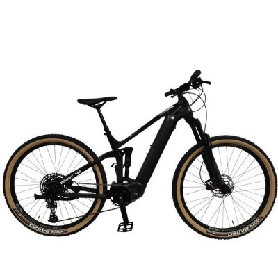 E-SUS MTB 29"