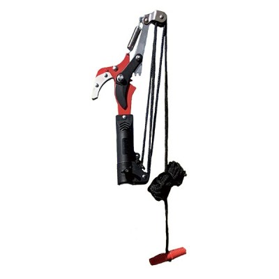 B553 Compound Pole Pruner Head